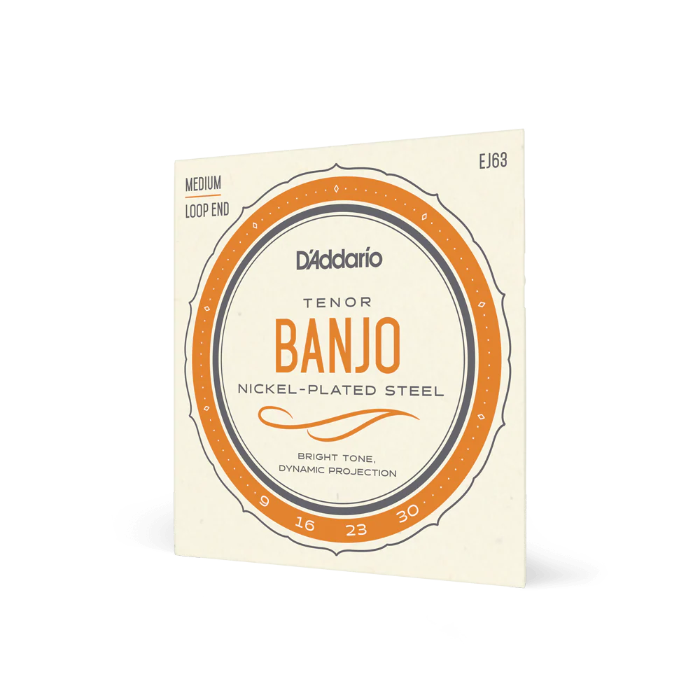 D'Addario EJ63 Tenor Banjo Strings