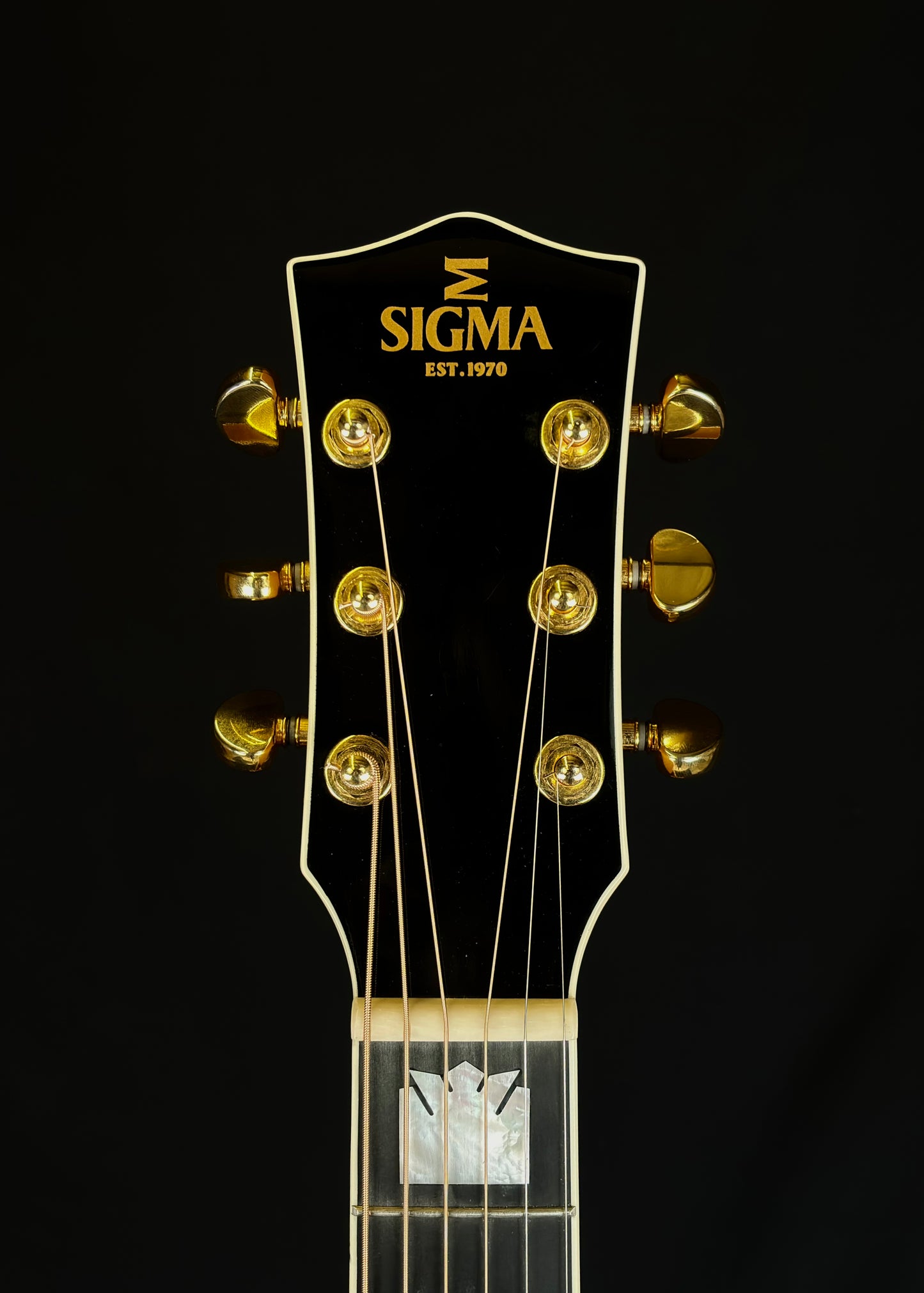 Sigma SG200-AN Grand Jumbo Electro Acoustic (Pre-Owned)