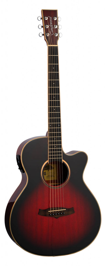 Tanglewood TW4CE AVB Winterleaf