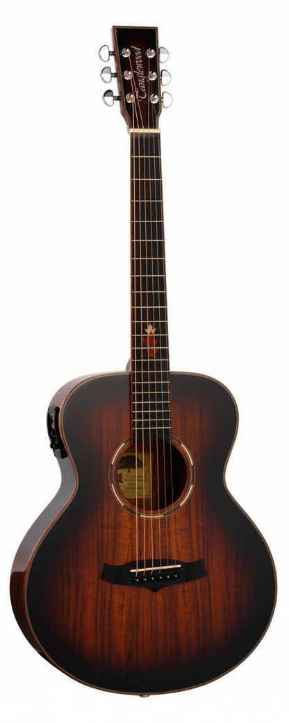 Tanglewood TWXIEK Winterleaf Mini Folk