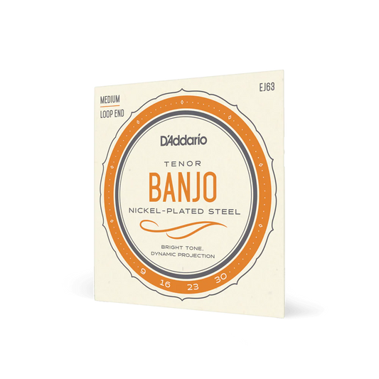 D'Addario EJ63 Tenor Banjo Strings
